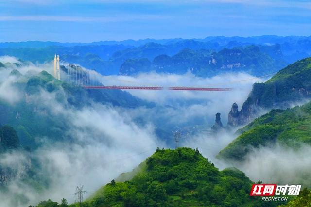 炎炎夏日“云上避暑” 红网慢直播带你共享湖南清凉美景
