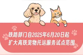 好消息：狗子可以在广州南站上车了！坏消息：胖的不行图片