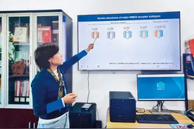 瞭望 | 上海基础研究“高产”探密图片