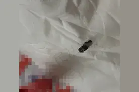 女子奶茶里喝出苍蝇，商家仅退款？法院：赔偿1000元！图片