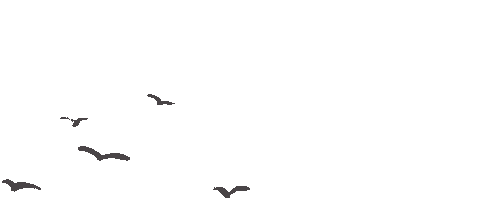 中华诗词学会酉阳采风行启动，共绘“诗词里的桃花源”