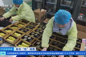 萌娃“大串门”！四川邀约“东北虎”，感受川蜀安逸图片