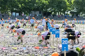 迎着初夏热浪，脱掉鞋袜、卷起裤腿、走进水田，这群小囡插秧“大比拼”图片