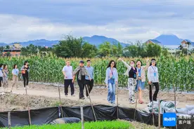 网媒行走进海垦南繁育种基地：提升品种“含新量” 撬动市场“含金量”图片