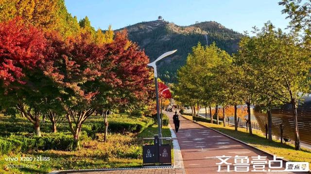 壹点号·秀山东｜汶河湿地秋韵：诗意与灵动画卷的交织