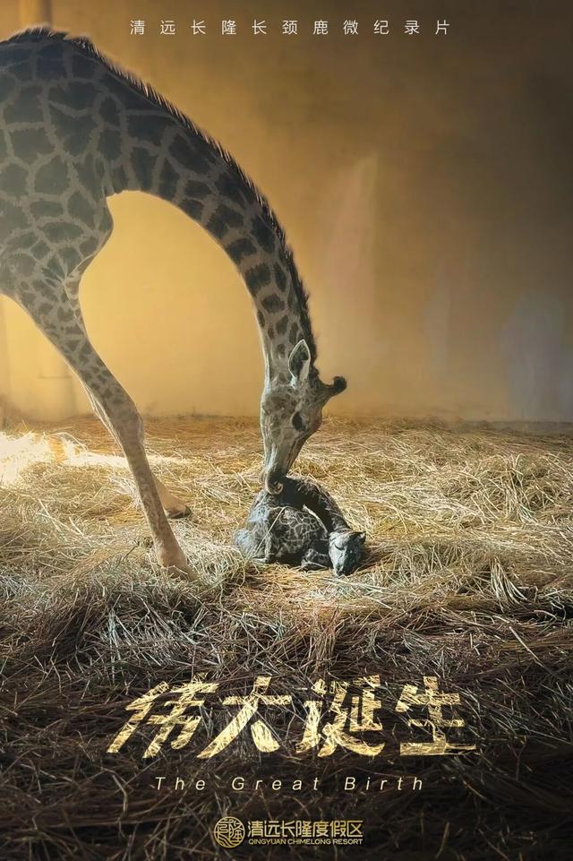 送票！这场活动超有料，体验感拉满