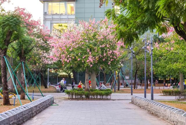 我愿意为了这道色彩，来越秀N次