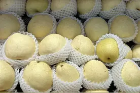 大跳水！跌至6元/斤，杭州人爱的这一口脆爽大量上市！图片