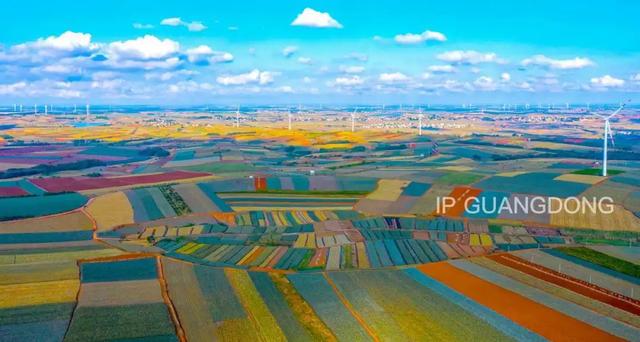 粤西向海，绘就湛蓝新画卷