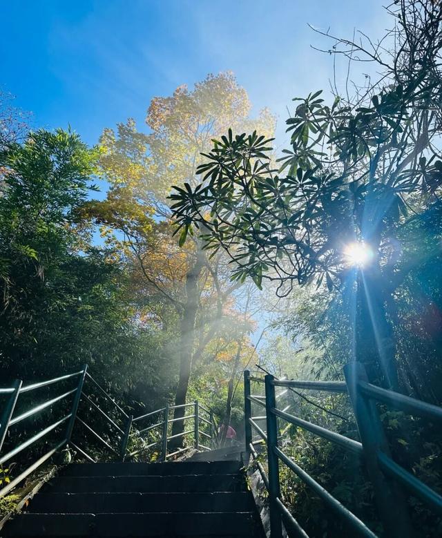 不同年龄段的爬山答案都在瓦屋山！