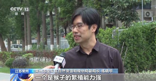 江苏一景区“月均6万元收编泼猴”引关注 “人猴冲突”如何解决？