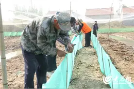 “蟾”业生金 赋能乡村振兴——淄博市高青县常家镇蓑衣樊村探索出致富新路径图片