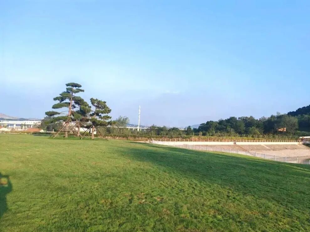 日照一全新打卡地！也太美太治愈了吧！