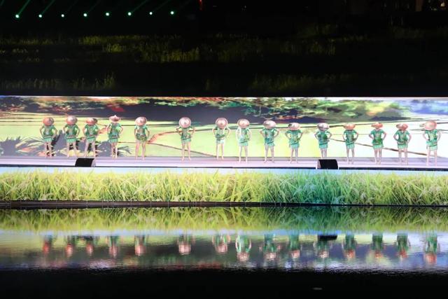 2025年白沙“啦奥门”雨林与您山兰文化活动启幕