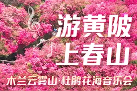 明天开幕！杜鹃花节唱游黄陂“上春山”图片