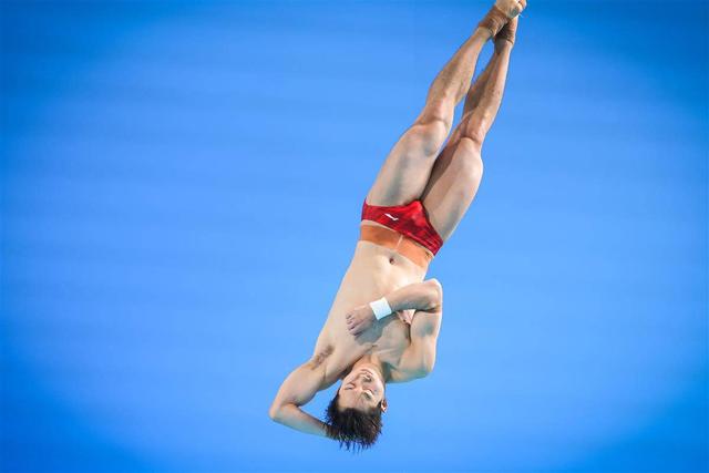 十五运跳水男团个人三米板：王宗源轻松锁定第一 郑九源位列第三