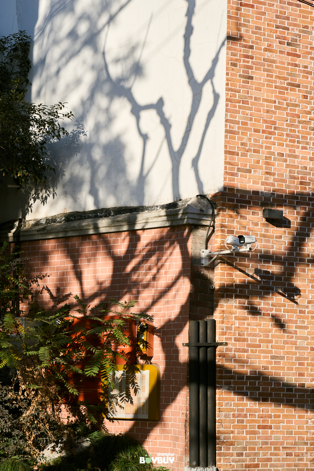 “今年元旦！我来静安只做1件事 ”