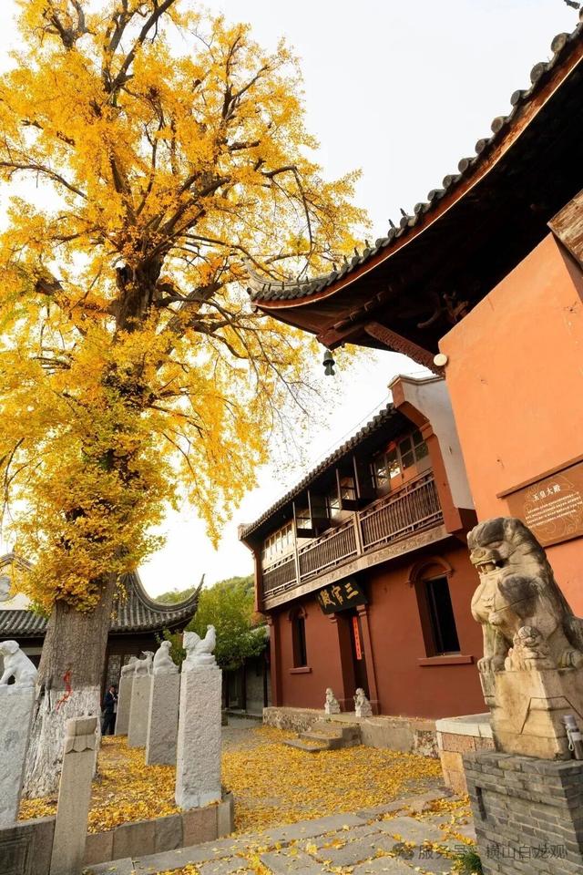 限时绝美！此刻，常州颜值巅峰