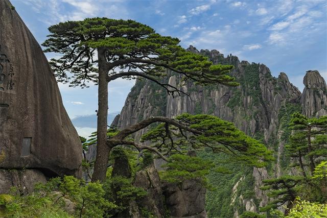 美到犯规!8座中外名山新晋“世界旅游名山”,这份攻略带你云打卡