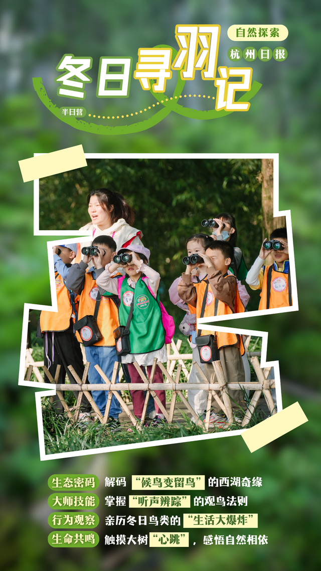 12.07 独立营｜冬日寻羽记：解码西湖候鸟的越冬密码！鸟类专家带队，探秘茅家埠“鸟类天堂”，体验听声辨鸟、飞羽寻踪的野趣周末！