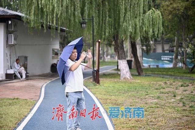 一年四季 泉在济南丨烟雨大明湖 新馆话“雨荷”