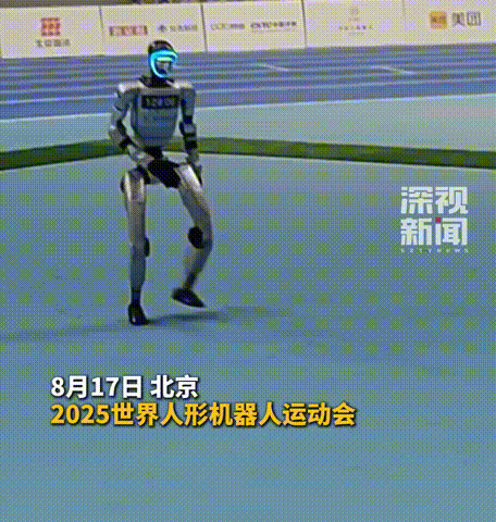 深圳的“机甲战士”们站上了领奖台！