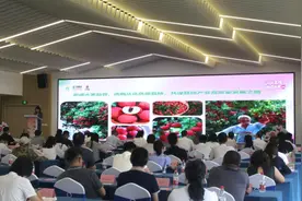 广州从化：天生“荔”质 十项措施助荔从树上速递舌尖图片