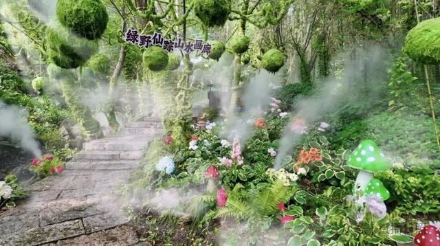 音乐节、星空露营、啤酒嘉年华......日照一大波文旅活动来袭！