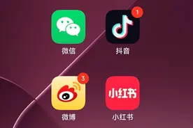 砸大把银子运营大陆社交平台，民进党嘴上“双标”花钱却“很诚实”图片