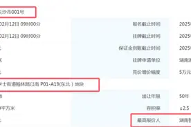 全市首宗工业用地摘牌图片
