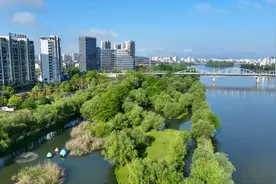 城市更新提质 百姓幸福加码图片