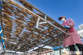 面包鱼、大笔管鱼、鲅鱼……港东渔码头“甜晒鱼”飘鲜图片