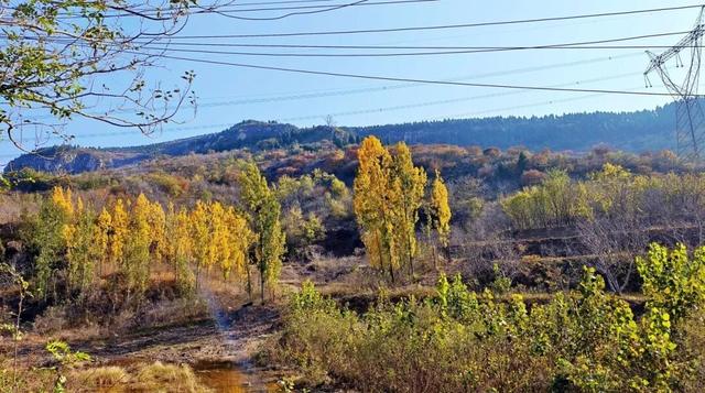 9.9元！深秋里寻一处静谧！本周六出发，打卡长清王泉摩崖石窟、义静寺！