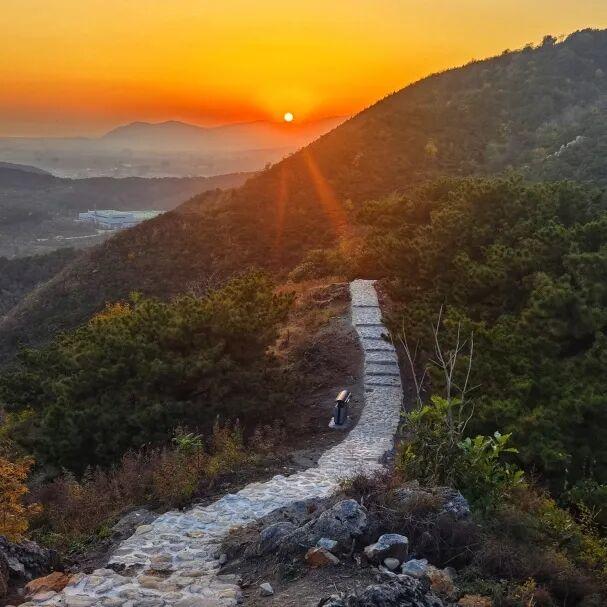 这个秋天，总要来趟马伸桥吧！别错过这条能“充电”的康养旅游环线~