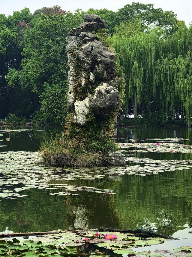晚潮｜三潭石塔观鸬鸟