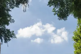 来逛逛这些绿意盎然的公园，洗去你的疲惫~图片