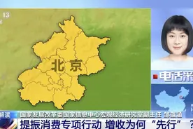 【权威观点】提振消费增收“先行” 专家详解怎样拓宽“生财”之道图片