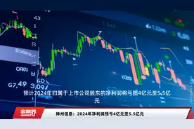 神州信息：2024年净利润预亏4亿元至5.5亿元视频封面