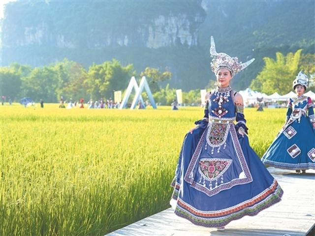 八桂好“丰”景 惹得游人醉