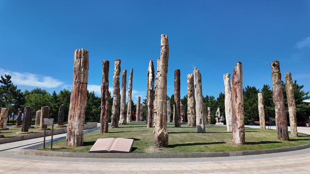 烟台自然博物馆：“五美融育”绘就“仙境海岸·最美博馆”