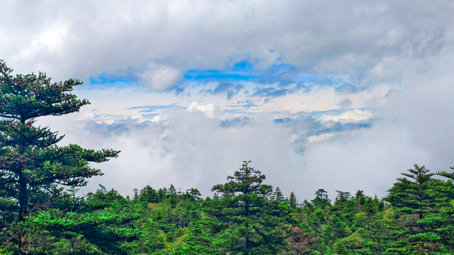福利放送 | 免费+优惠！螺髻山教师节专属福利上线！