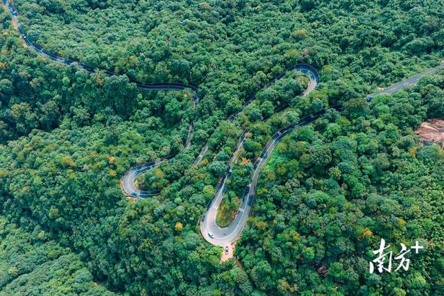 一条公路串联惠州两名山，激发城乡融合新动能｜寻迹218最美公路