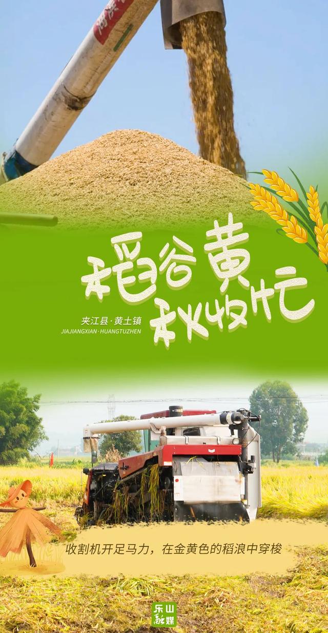 海报丨看！乐山 “醉” 美 “丰” 景上线