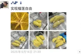 价格大幅下降！榴莲大量上市，预计还要降图片
