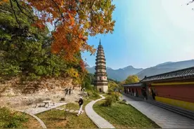 奔赴刀郎之约，畅玩好客山东，超值优惠全攻略来了图片