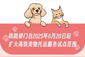 铁路部门宠物托运试点范围扩大，“毛孩子”可在广州南站上车啦图片