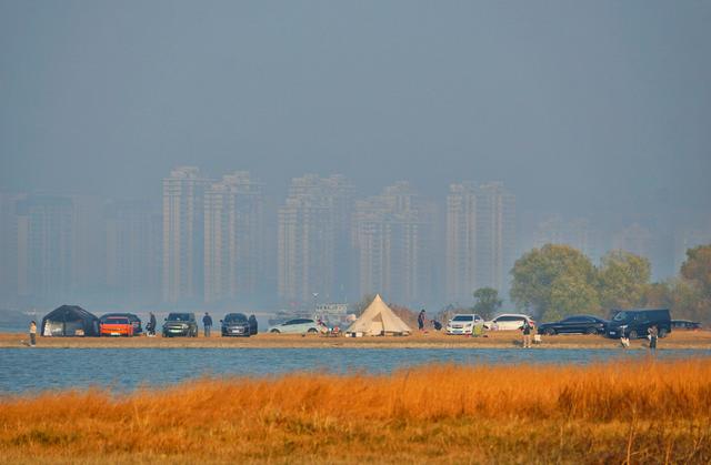 巢湖南岸天灯咀“安营扎寨”成冬日新景