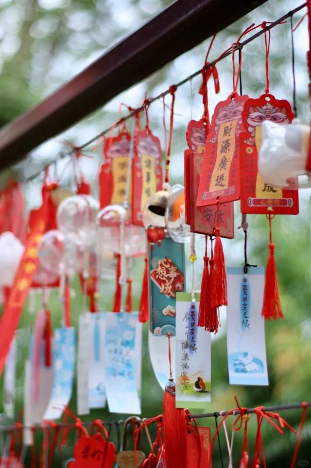 不藏了！南充超火的打卡机位速来——
