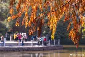 新冷空气在路上，广州未来几天预计低至6℃仍“无雨”图片