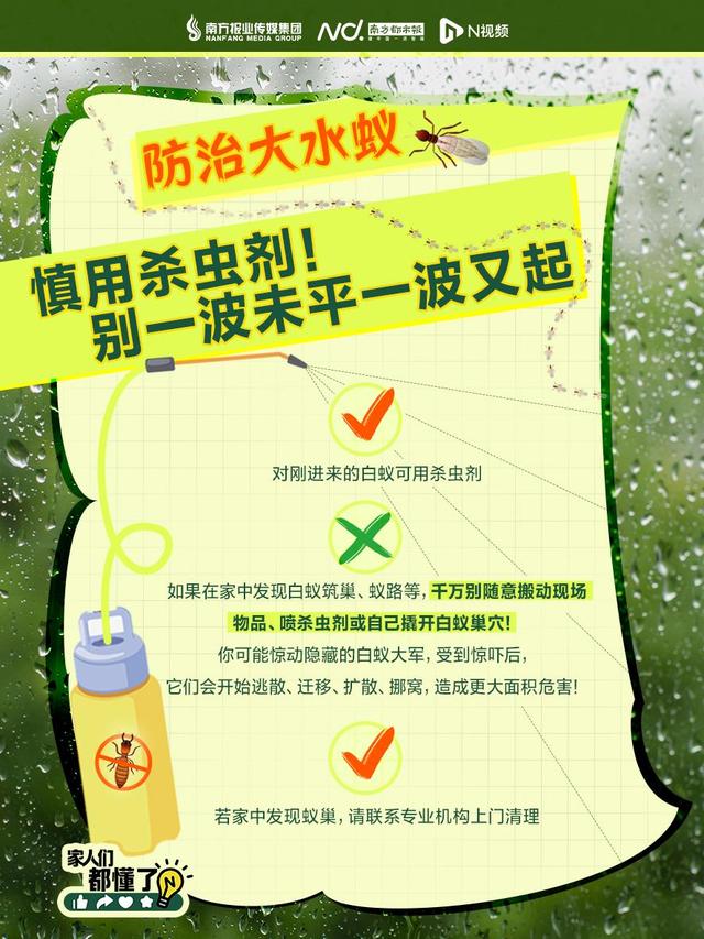头皮发麻！不少广东人家里突现大量飞虫，紧急提醒